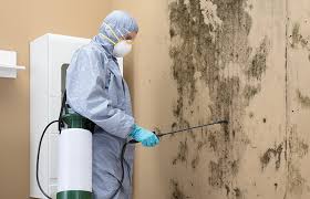 Bridgewater Center, NJ Mold Removal Company